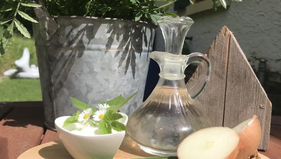 Wildkräuterküche